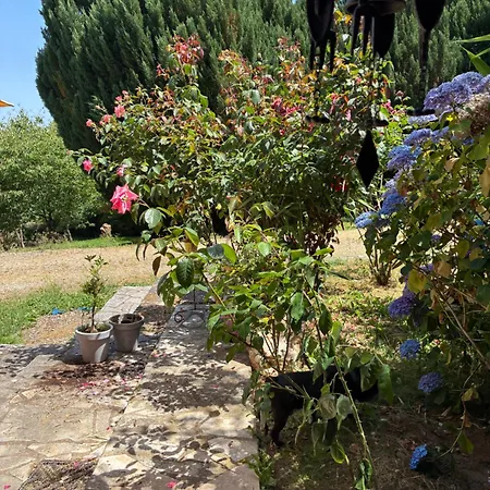 Bed & Breakfast D'hotes Douceur 2 Pers Piscine Et 3*